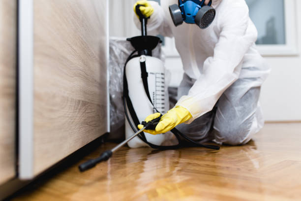 Best Local Pest Control Services  in Gueydan, LA