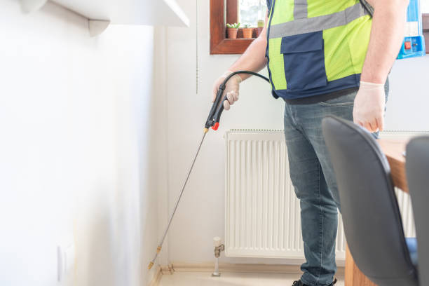 Best Wasp Removal Services  in Gueydan, LA