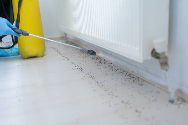 Best Best Pest Control Companies  in Gueydan, LA
